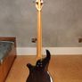 Traben Phoenix 5-String Bass + Original Traben Hard Case Image 2
