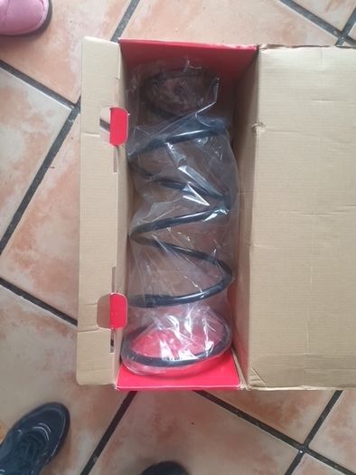 Citreon front spring