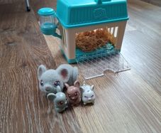 Little Live Pets Mama Surprise: mouse