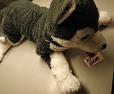Ikea Huskey Large