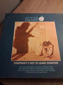 International Hostage Release - 1991 2LP benefit album - including Dire Straits, Tina Turner,  Clannad, Talk Talk, Simple Minds etc etc...