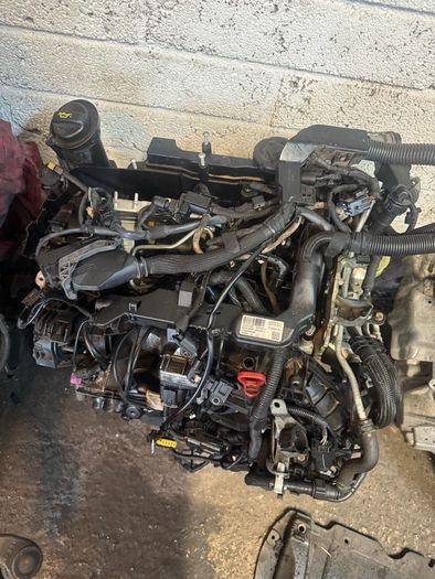 garage clear