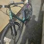 raleigh motus Image 3