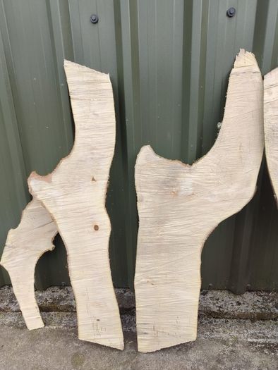 Maple (sycamore) Live edge boards