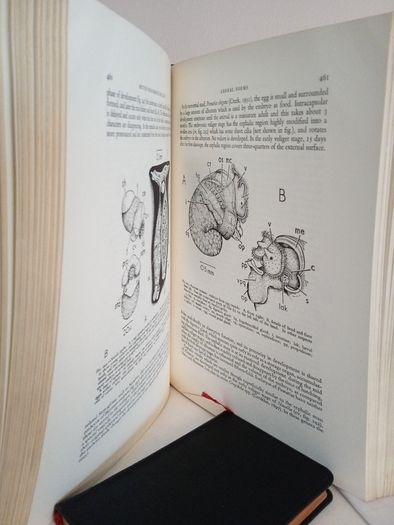 British Prosobranch Molluscs: Their Functional Anatomy and Ecology by Vera Fretter and Alastair Graham (RB248)