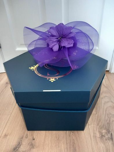 Mother of the Bride Dress and Fascinator