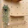 Complete Birch Ply Pegboard Shop Fit-Out 21 Panel Image 8