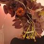 Large handmade halloween wreath with lights (please note battery pack won't be visible) Image 3