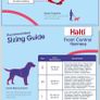 medium dog harness Image 5
