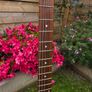 Squier Standard Series Stratocaster - Black & Chrome Special Edition Image 7