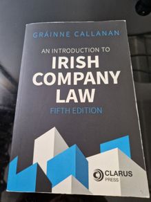 An introduction to Irish company law