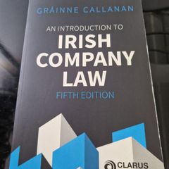 An introduction to Irish company law