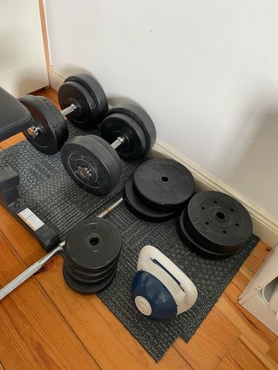Weights & bench
