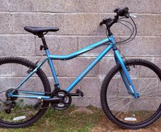 Coyote Callisto XR 18" Mountain Bike