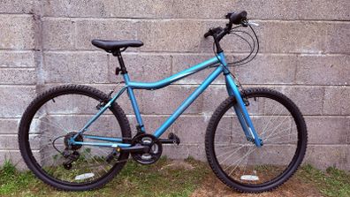Coyote Callisto XR 18" Mountain Bike