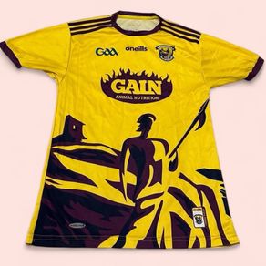 Wexford Gaa jersey