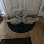 decor Image 2