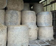 Hay bales