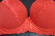 Brand New Bra