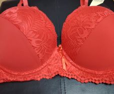 Brand New Bra