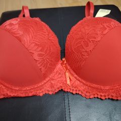 Brand New Bra