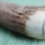 Antique Bone Handle Flatware Serving Meat Fork with Guard Image 6