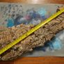 Cork Bark for Reptile Terrarium/Vivarium Image 3