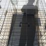 extra large dog travel crate Image 4