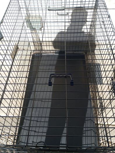 extra large dog travel crate