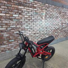 electric bike