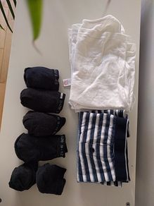 Set of underwear (socks, vests, briefs)