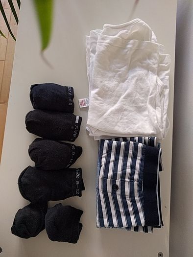 Set of underwear (socks, vests, briefs)