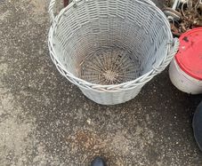 basket