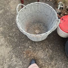 basket