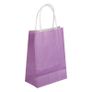 Paper Party/Gift Bags with Twisted Paper Handles Small/Medium/Large/Extra-Large Image 6