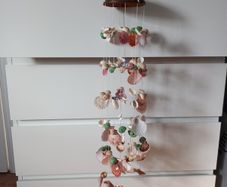 Shell decorations