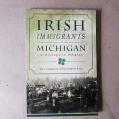 Irish Immigrants In Michigan, A History In Stories