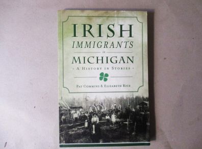 Irish Immigrants In Michigan, A History In Stories