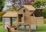 Chicken Coop House