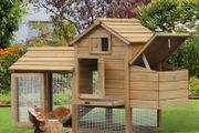 Chicken Coop House