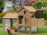main image for ad Chicken Coop House