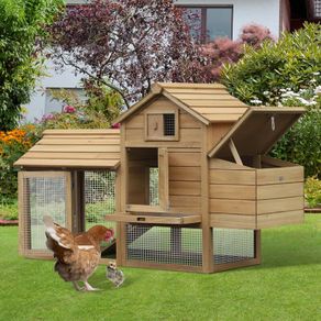 Chicken Coop House