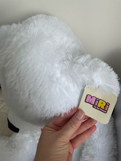 New Teddy Bear