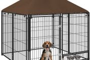 Outdoor Dog Kennel Puppy Play Pen with Canopy Garden Playpen Fence Crate Enclosure Cage Rotating Bowl 141 x 141 x 151 cm