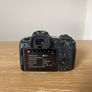 Canon R5 & Canon RF 50mm 1.8 Image 3