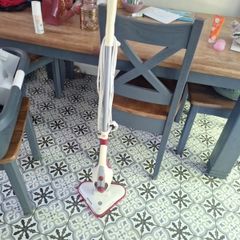 steam mop -need gone today!
