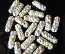 Fertilizer capsules