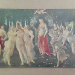 Postcard
