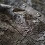 Black lace dress size S Image 7