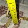 2 Vintage Bronze/Brass Dragon Wall Hooks Ornate Coat Hooks Hat Rack Farmhouse Home Decor Image 10